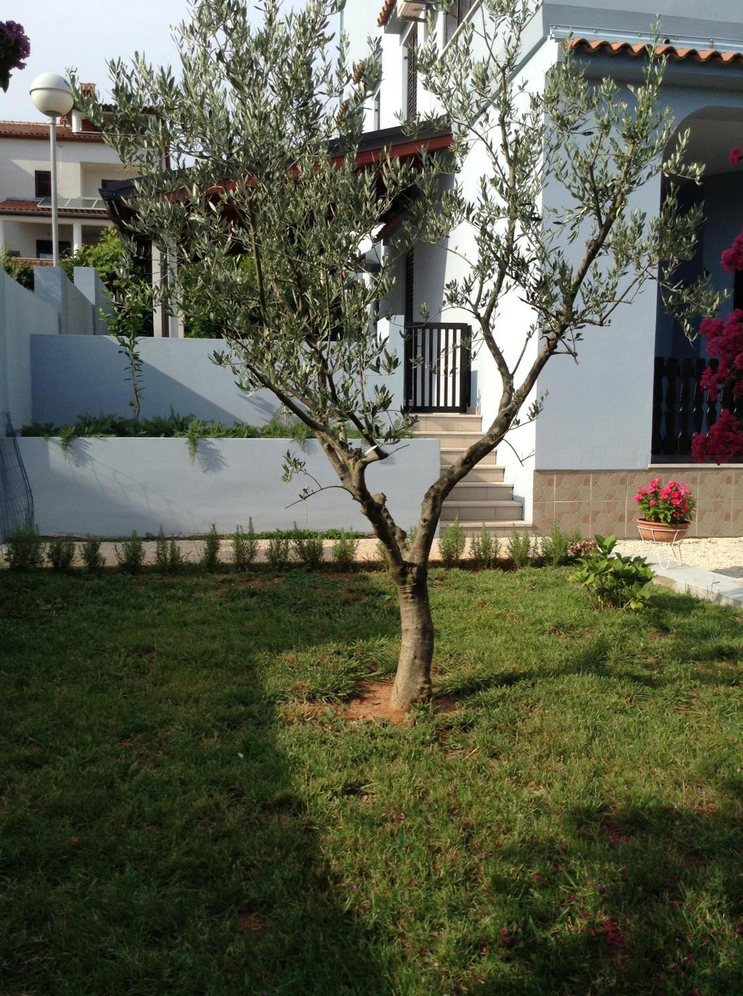 The Blue House Διαμέρισμα Vinkuran Εξωτερικό φωτογραφία